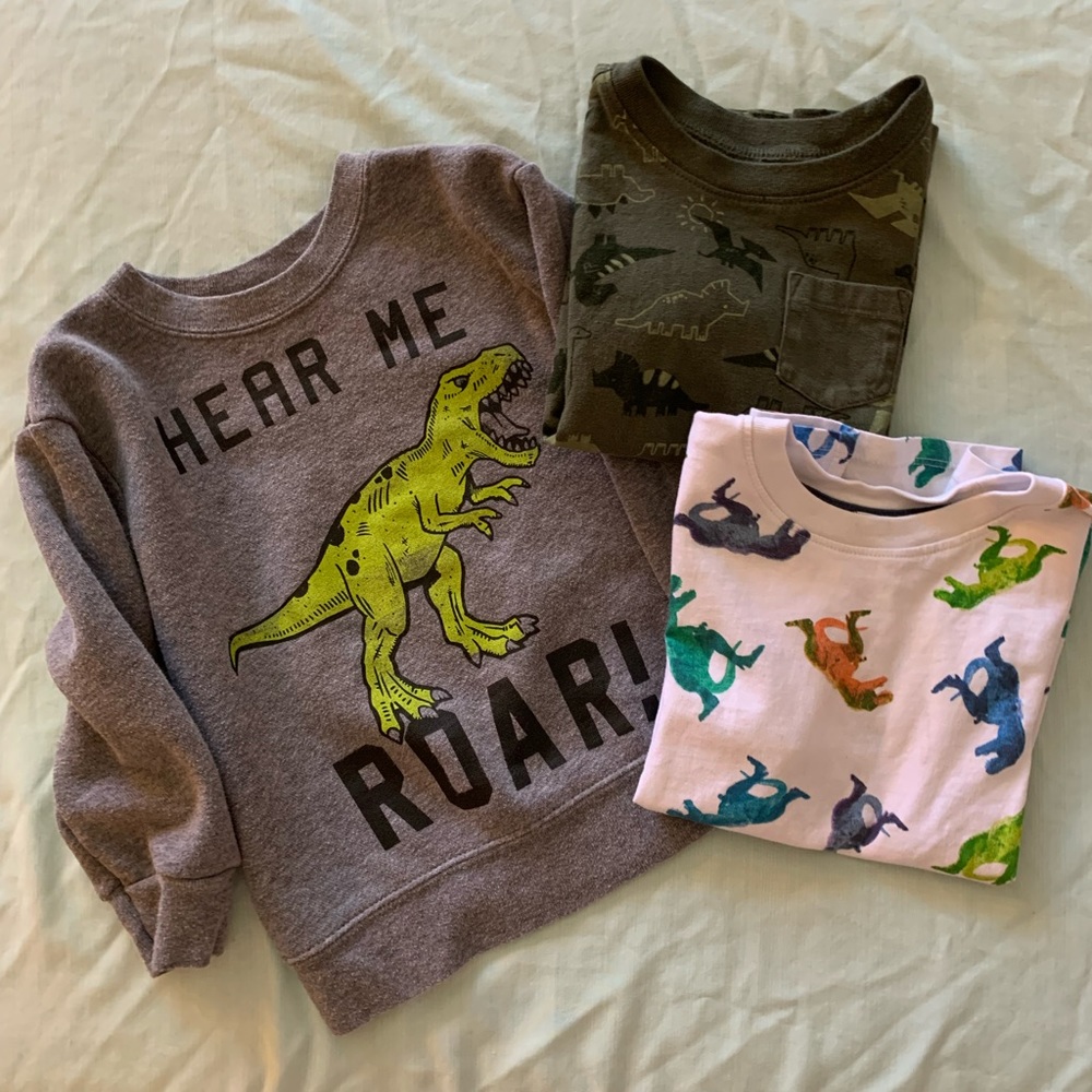 2T dinosaur bundle